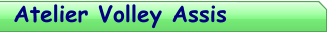 Atelier Volley Assis